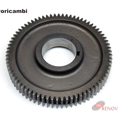 PIÑON 1a TREN FIJO 39 dts 16713