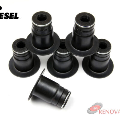 16-1-165-1.jpg GORROS VALVULA 6BT