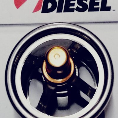 16-1-28-1.jpg TERMOSTATO V6 155 180 GRADOS