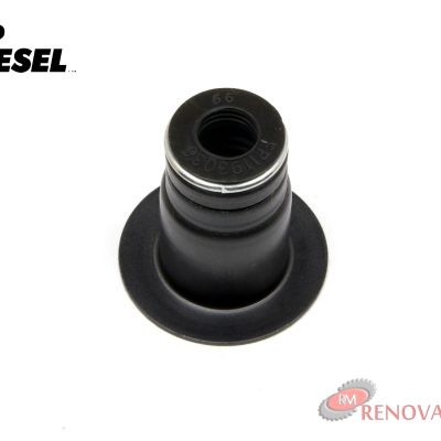 16-4-8-1.jpg GORROS VALVULA CAT 3116