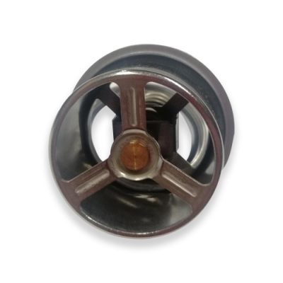 TERMOSTATO DETROIT S60 160 GRADOS EQUI 146076