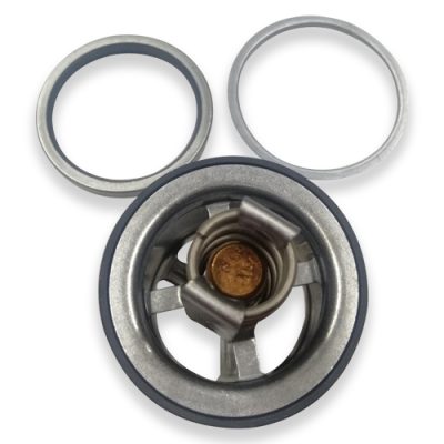 32-1-9-1.jpg TERMOSTATO DETROIT S60 / B/C 180 G EQUI 3076489