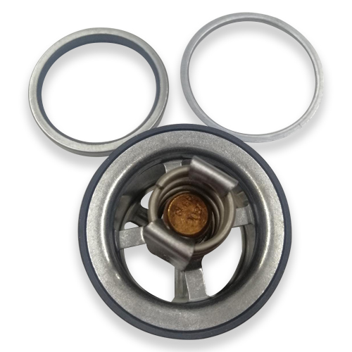 32-1-9-1.jpg TERMOSTATO DETROIT S60 / B/C 180 G EQUI 3076489