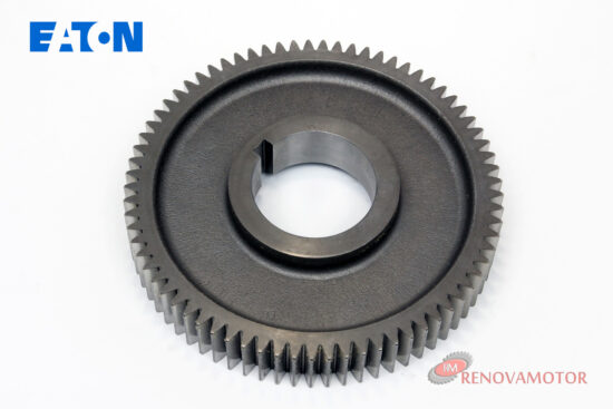 PIÑON RTLO F18913A