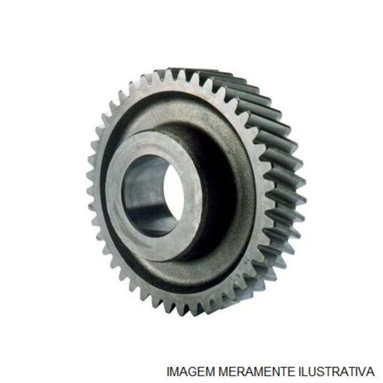 PIÑON 43 dts FS8309