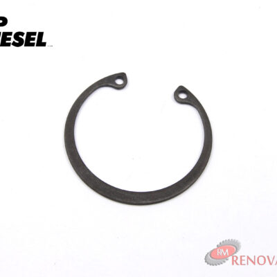 FP7C0111.jpg PIN PISTIN