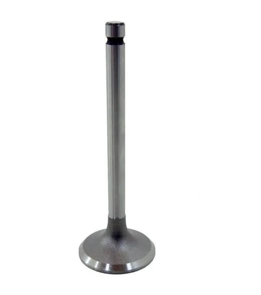 VE0130100-STD-MB.webp VALVULA ESCAPE 4BT 6BT