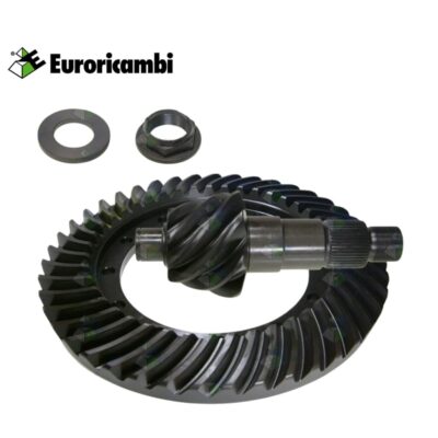 CORONA Y SPEED 8 X 43 TRASERA