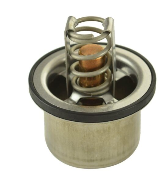 _FP23503827 TERMOSTATO 160° S50 /60