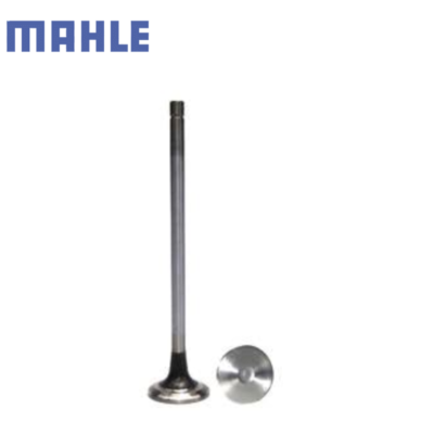 Subtítulo (19) VALVULA ESCAPE ISM L10 M11 ELECTRONICO